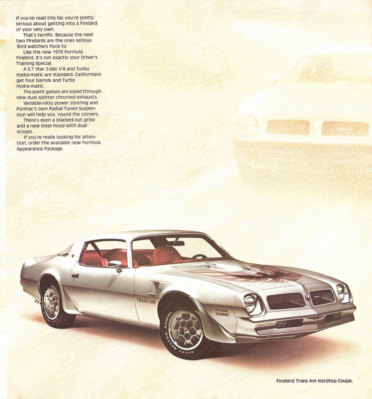 n_1976 Pontiac Firebird-03.jpg